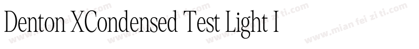 Denton XCondensed Test Light Italic字体转换